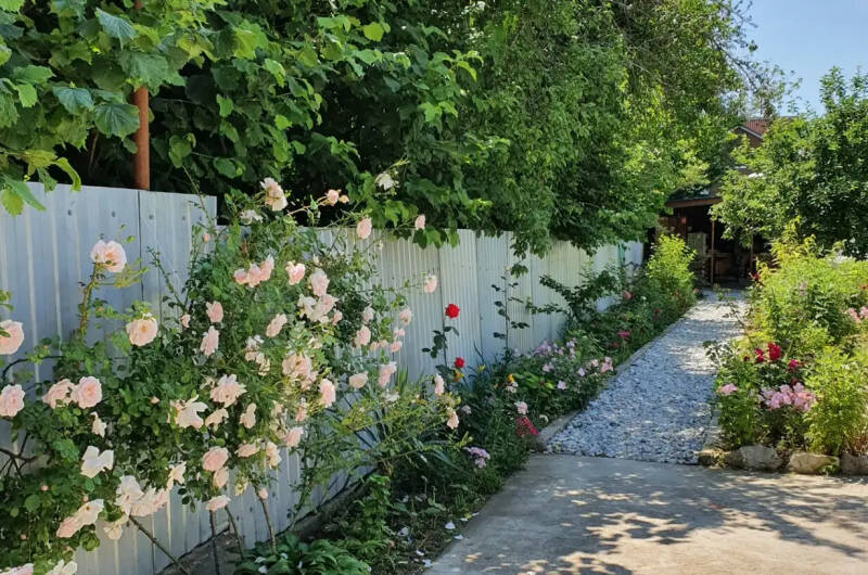 Изображение Изображение гостиницы &quot;Гостевой дом «Амина»&quot; #6 #6