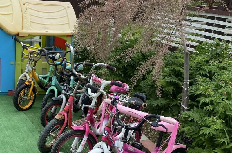 Изображение Изображение гостиницы &quot;Гостевой дом «Белый Кот»&quot; #7 #7