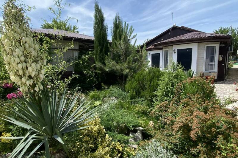 Изображение Изображение отеля / гостиницы "Гостевой дом «Белый Кот»" #10 #8