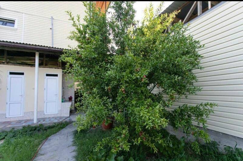 Изображение Изображение гостиницы "Гостевой дом «Три карата»" #5 #5