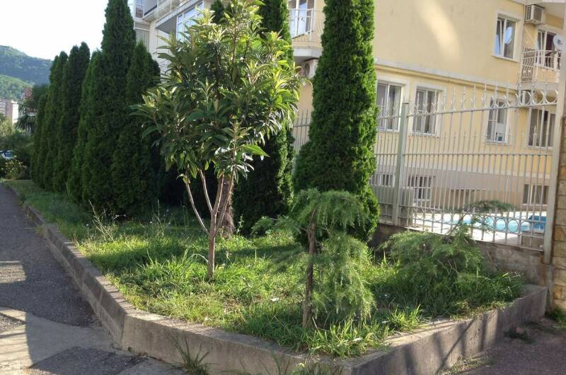 Изображение Изображение гостиницы &quot;Гостевой дом на Согласия&quot; #4 #4