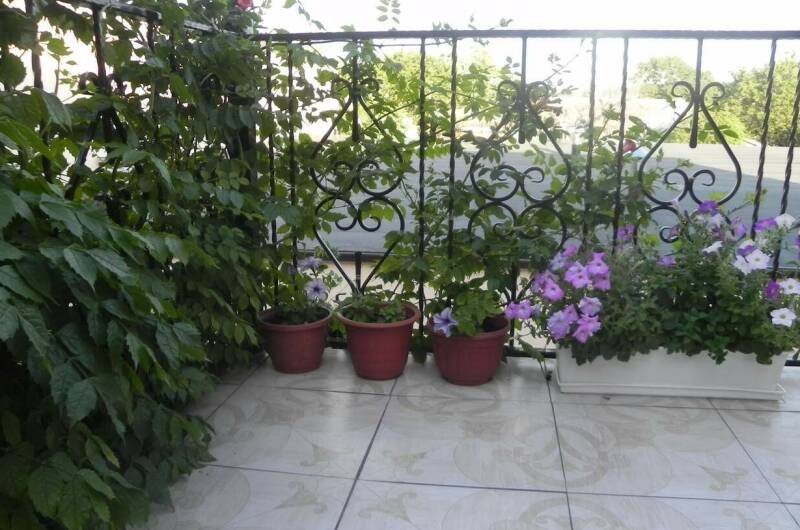 Изображение Изображение гостиницы "Гостевой дом «Лагрейн»" #8 #8