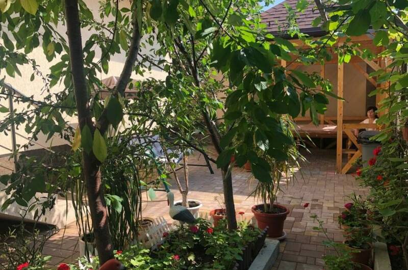 Изображение Изображение гостиницы &quot;Гостевой дом «Ксения»&quot; #6 #6