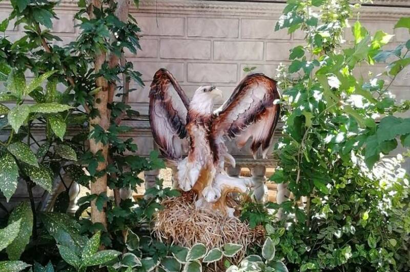 Изображение Изображение гостиницы "Частный сектор «Лидия»" #5 #5