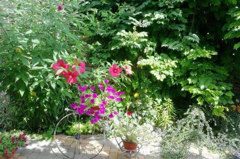 Изображение Изображение гостиницы "Частный сектор «Лидия»" #8 #8