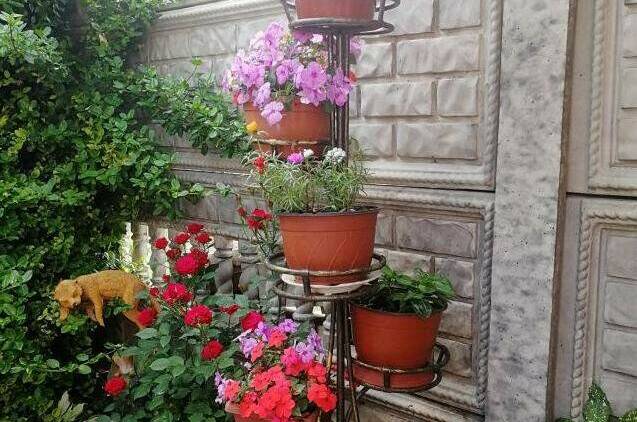 Изображение Изображение отеля / гостиницы "Частный сектор «Лидия»" #11 #9