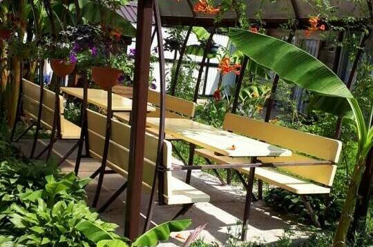 Изображение Изображение отеля / гостиницы "Гостевой дом «Светлана»" #10 #8