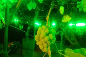 Изображение Дом под ключ #4