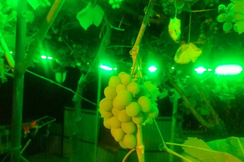 Изображение Изображение квартиры "Дом под ключ" #1 #1