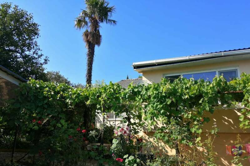 Изображение Изображение квартиры "Дом под ключ" #5 #5