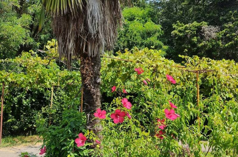 Изображение Изображение квартиры "Дом под ключ" #6 #6