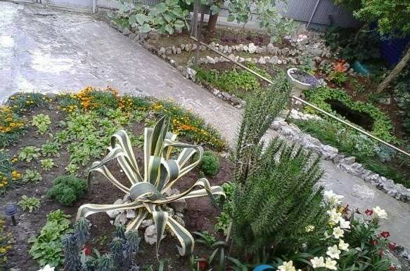 Изображение Изображение гостиницы &quot;Частный дом у моря&quot; #5 #5