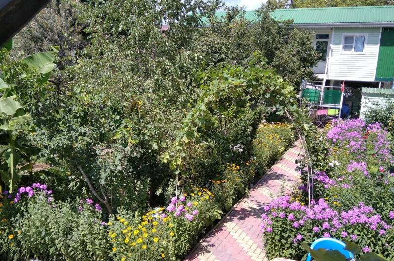 Изображение Изображение гостиницы "Гостевой дом «Юкка»" #5 #5