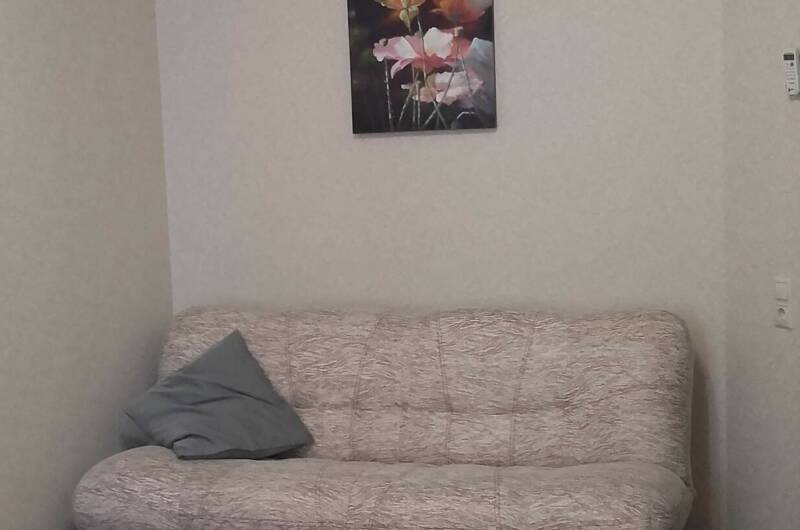 Изображение Изображение квартиры / апартамента "Однокомнатная квартира" #10 #8