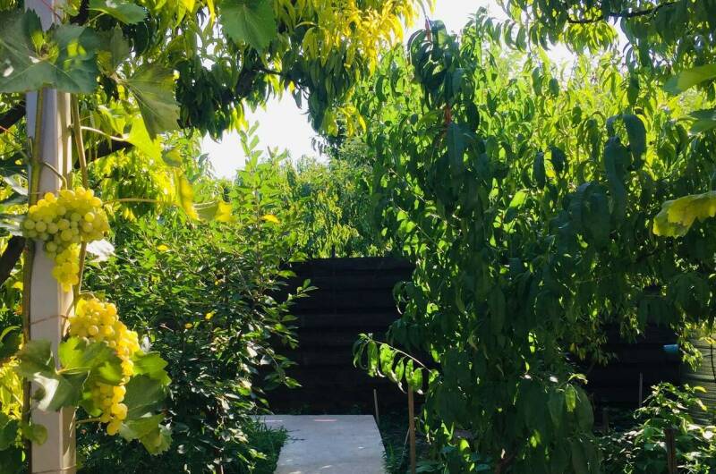 Изображение Изображение квартиры "Дом под ключ «Прованс»" #8 #8