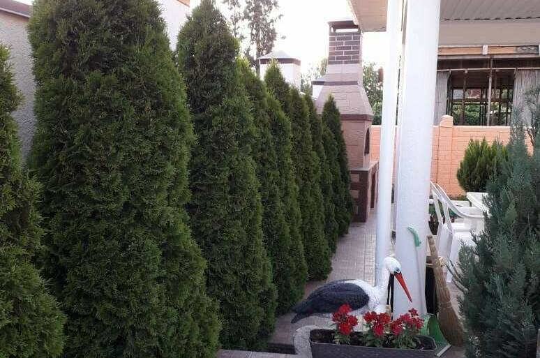 Изображение Изображение квартиры &quot;Трехкомнатные апартаменты на Зеленой&quot; #1 #1