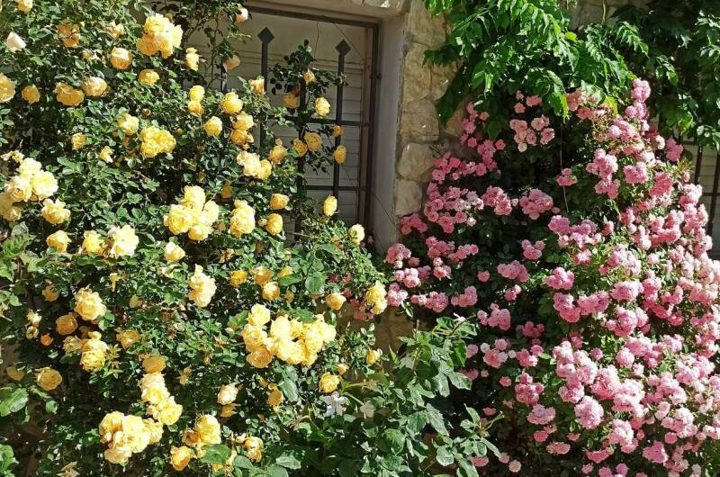 Изображение Изображение гостиницы &quot;Гостевой дом «АлеТон»&quot; #4 #4