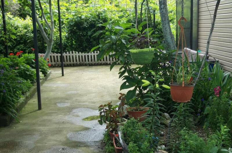 Изображение Изображение гостиницы &quot;Гостевой дом «В гостях у Сюзанны»&quot; #2 #2