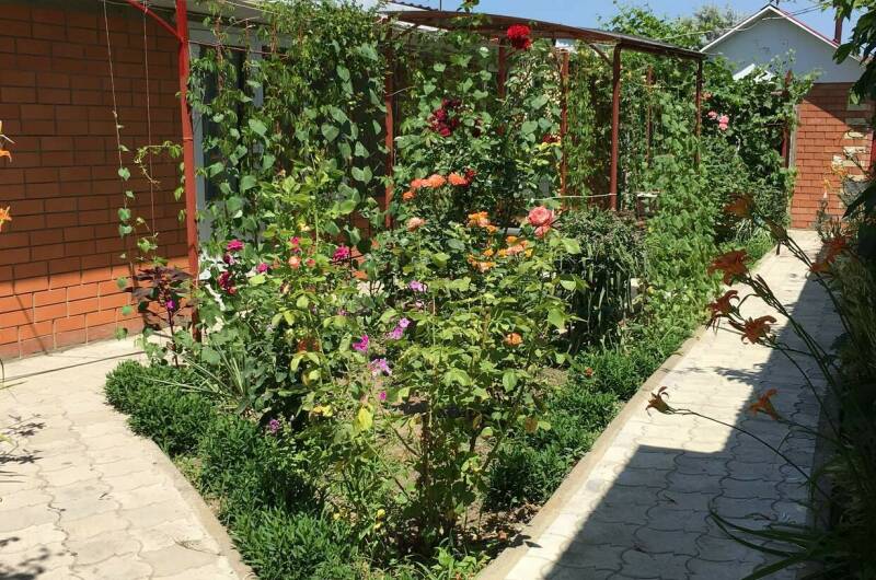 Изображение Изображение гостиницы &quot;Гостевой дом «Зелёный уголок»&quot; #6 #6