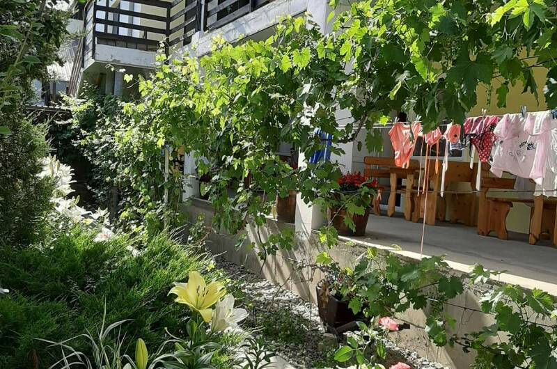 Изображение Изображение гостиницы &quot;Частное домовладение «Эдгар»&quot; #8 #8