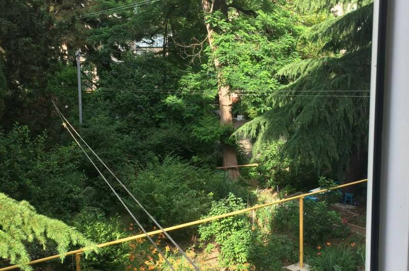 Изображение Изображение квартиры &quot;3-х комнатная квартира&quot; #2 #2