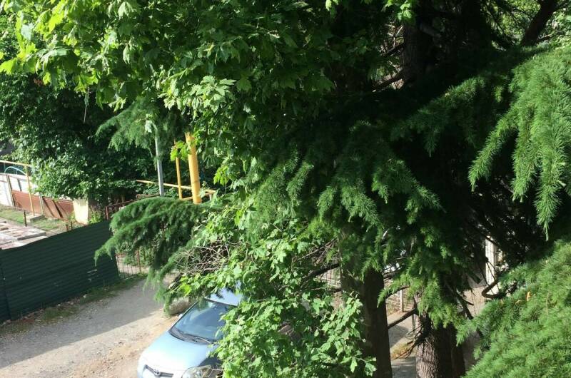 Изображение Изображение квартиры &quot;3-х комнатная квартира&quot; #3 #3