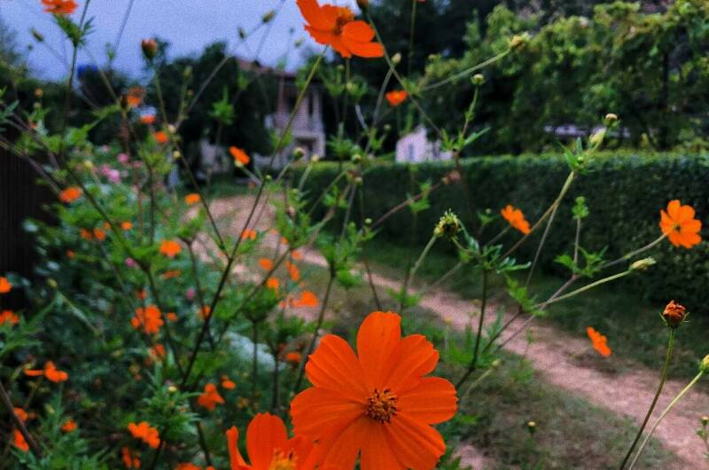 Изображение Изображение квартиры "Дом под ключ «Золотой Берег»" #3 #3