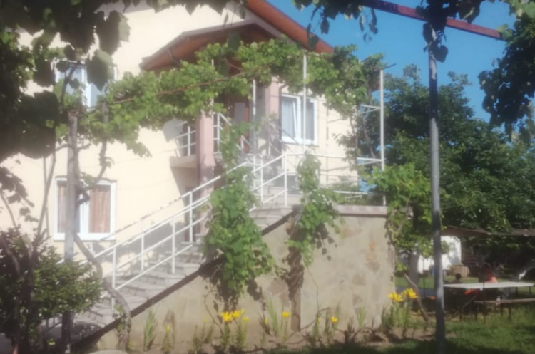 Изображение Изображение гостиницы &quot;Гостевой дом «Мандариновый рай»&quot; #1 #1