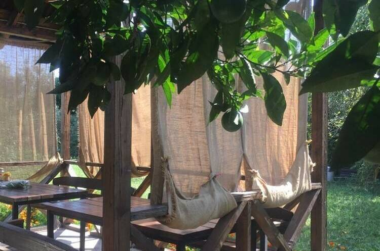 Изображение Изображение гостиницы &quot;Гостевой дом «Мандариновый рай»&quot; #2 #2