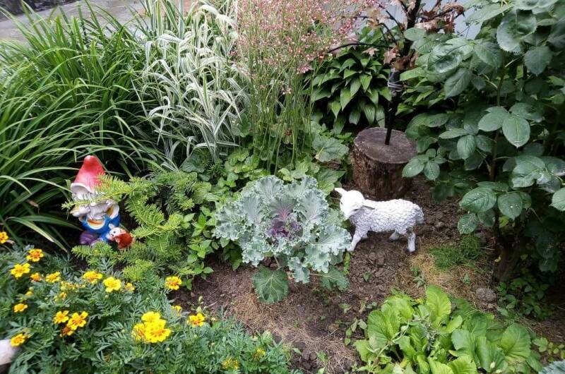 Изображение Изображение гостиницы "Гостевой дом «Зеленый дворик на Черноморской»" #6 #6