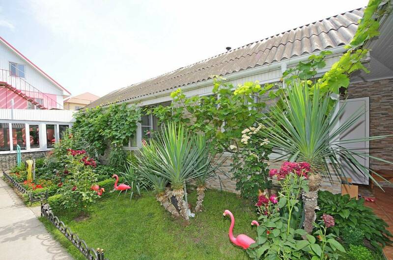 Изображение Изображение гостиницы "Гостевой дом «Зеленый дворик на Черноморской»" #7 #7