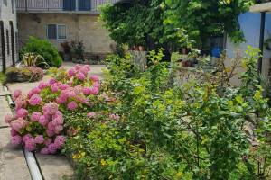 Изображение отеля / гостиницы "Частный сектор «Эльвира»"