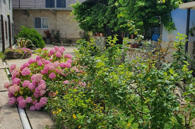 Изображение Изображение гостиницы "Частный сектор «Эльвира»" #1 #1