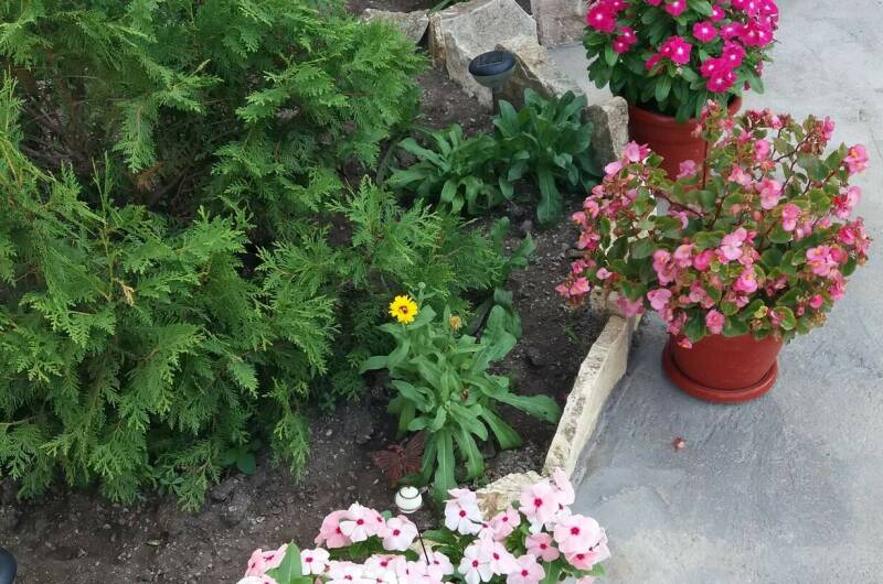 Изображение Изображение гостиницы "Частный сектор «Эльвира»" #7 #7