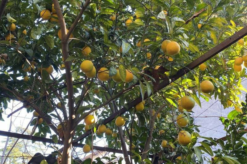 Изображение Изображение гостиницы &quot;Частный сектор «У Михаила»&quot; #4 #4