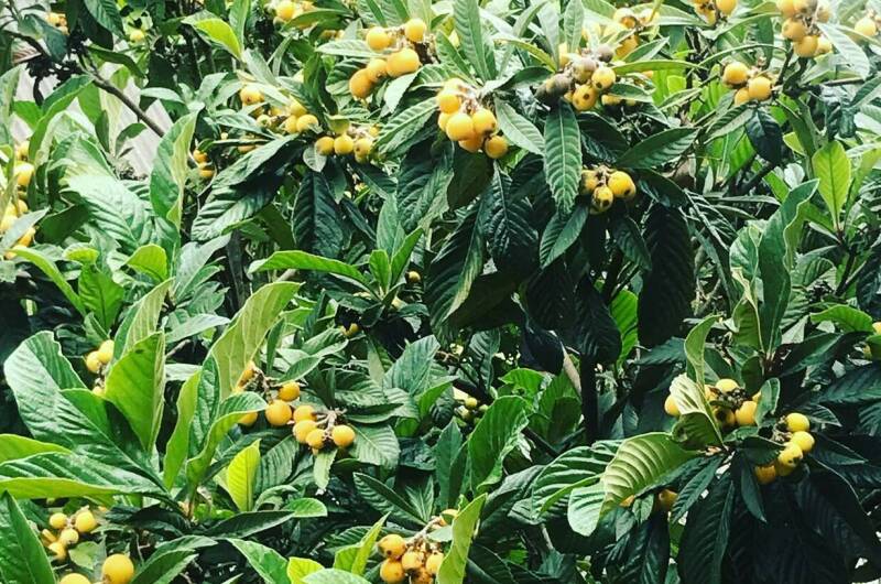 Изображение Изображение отеля / гостиницы "Частный сектор «У Михаила»" #11 #9