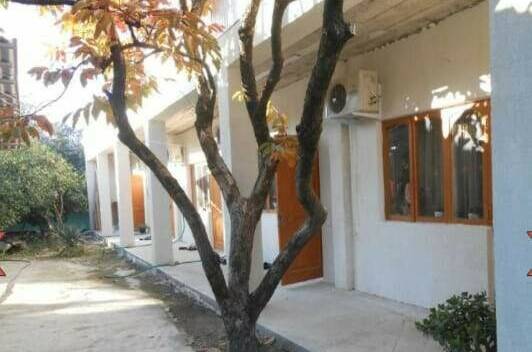 Изображение Изображение гостиницы &quot;Гостевой дом «Роберт и Оксана»&quot; #1 #1