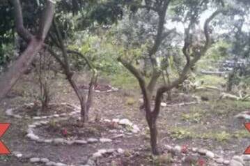 Изображение Изображение гостиницы &quot;Гостевой дом «Роберт и Оксана»&quot; #4 #4