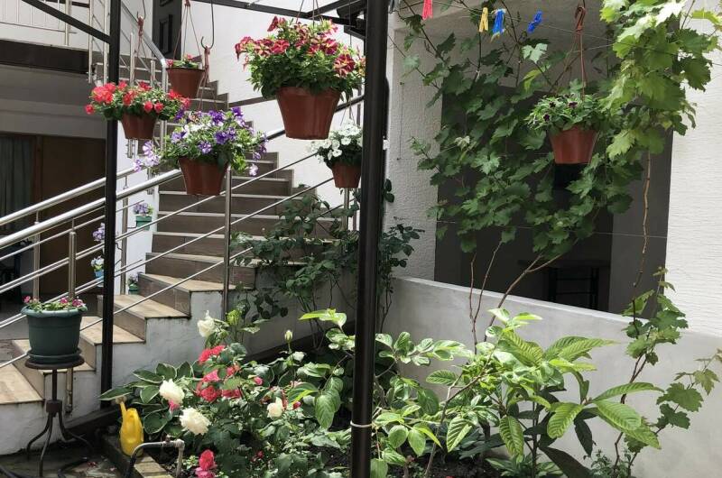 Изображение Изображение гостиницы "Гостевой дом «Загадка»" #6 #6