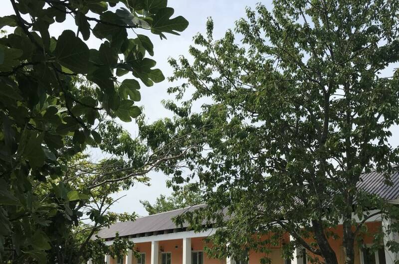 Изображение Изображение отеля / гостиницы "Гостевой дом «SarKar House»" #10 #8