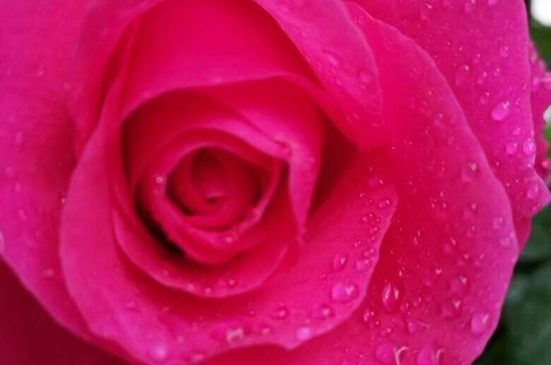 Изображение Изображение гостиницы &quot;Гостевой дом «у Дины»&quot; #3 #3