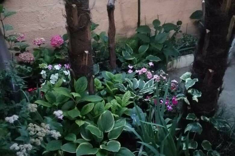 Изображение Изображение гостиницы &quot;Гостевой дом «у Дины»&quot; #7 #7