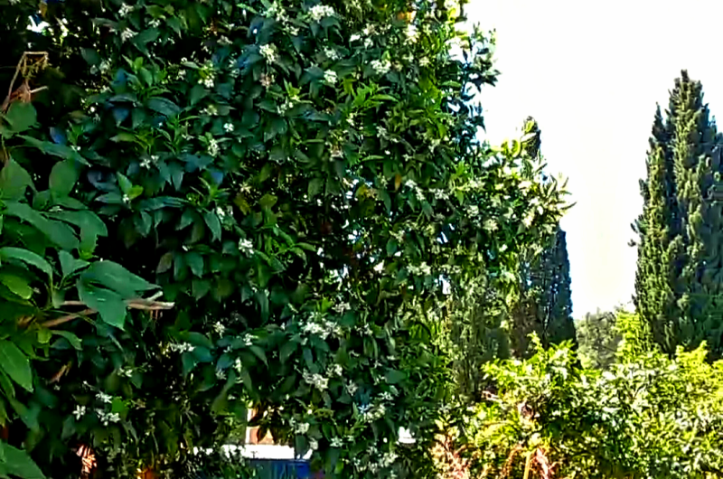 Изображение Изображение гостиницы &quot;Гостевой дом «Старик Хасаныч»&quot; #5 #5