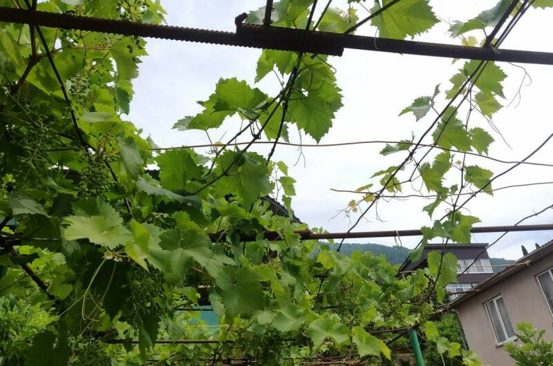 Изображение Изображение гостиницы &quot;Частный дом «У Анаиды»&quot; #2 #2