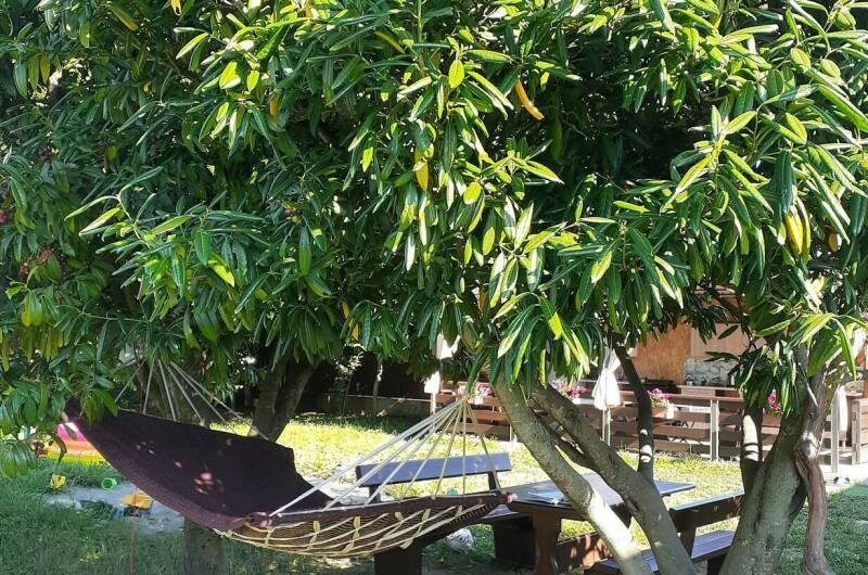 Изображение Изображение гостиницы &quot;Гостевой дом у моря&quot; #6 #6