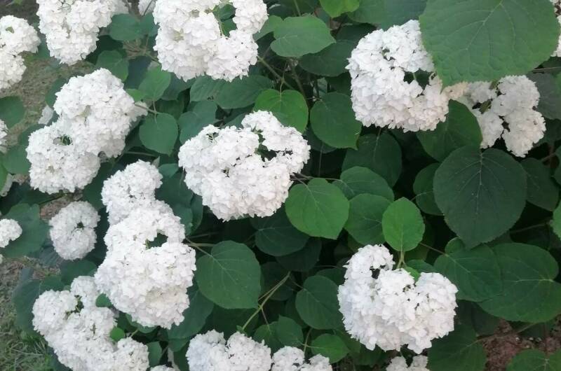 Изображение Изображение гостиницы &quot;Частный сектор «Белорусский домик»&quot; #2 #2