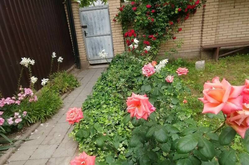 Изображение Изображение гостиницы &quot;Частный сектор «Белорусский домик»&quot; #5 #5