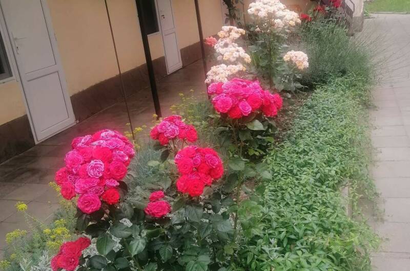 Изображение Изображение гостиницы &quot;Частный сектор «Белорусский домик»&quot; #7 #7