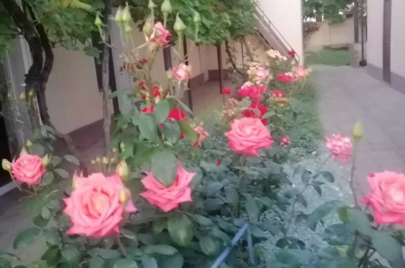 Изображение Изображение отеля / гостиницы "Частный сектор «Белорусский домик»" #11 #9