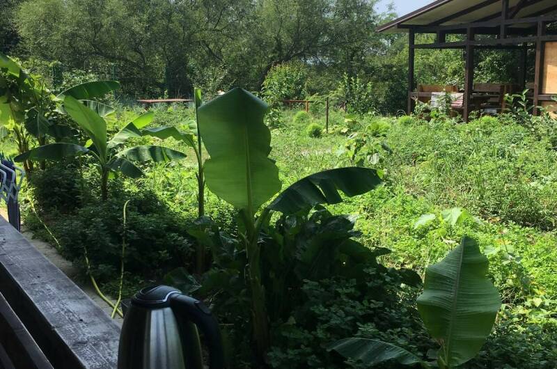 Изображение Изображение гостиницы &quot;Гостевой дом «Пограничный проезд 3»&quot; #2 #2